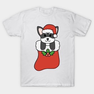 Christmas Black and White Chihuahua Stocking T-Shirt